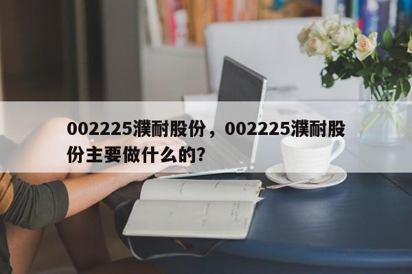 002225濮耐股份,002225濮耐股份主要做什么的?