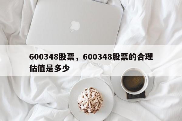 600348股票,600348股票的合理估值是多少