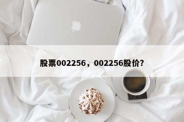 股票002256,002256股价?