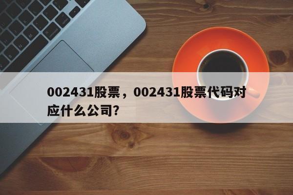 002431股票,002431股票代码对应什么公司?