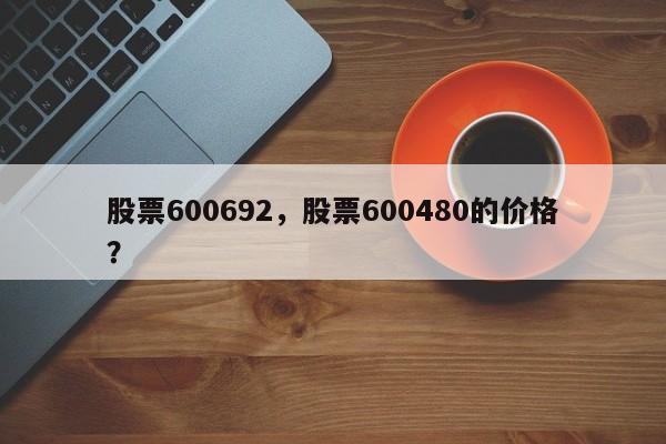 股票600692,股票600480的价格?